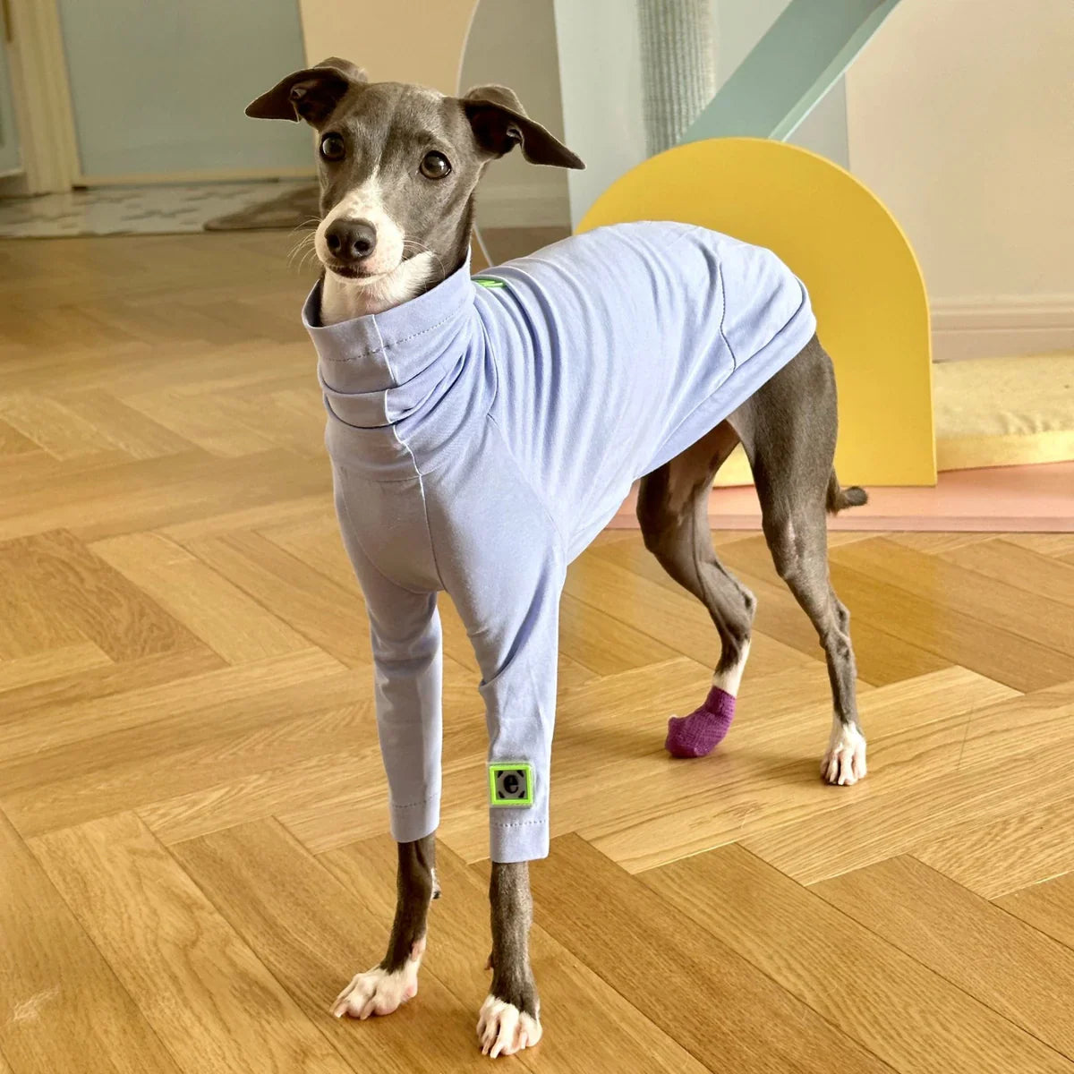 Spring & Fall Apparel