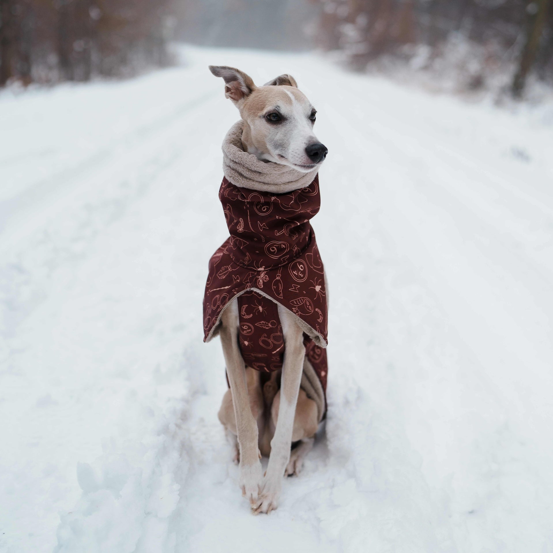 Winter Apparel