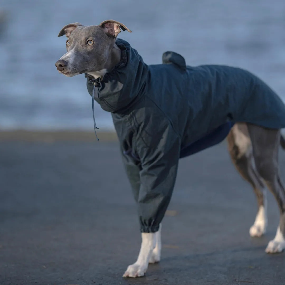 Adventure Wear
