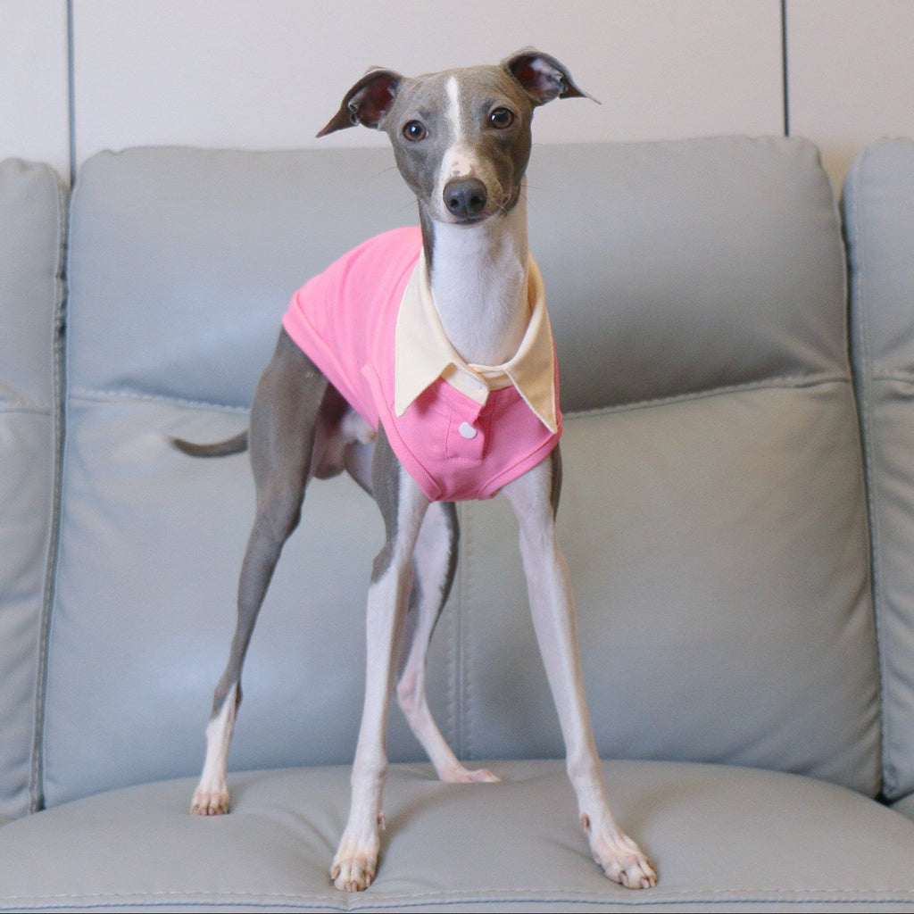 Whippet Italian Greyhound Dog Polo Shirt Lightweight Breathable Summer Vest Bright Color Pet Outfit