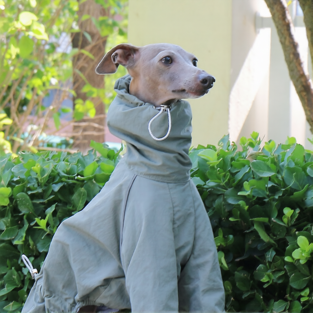 Whippet Italian Greyhound Dog Waterproof Jacket Lightweight Breathable Outdoor Raincoat