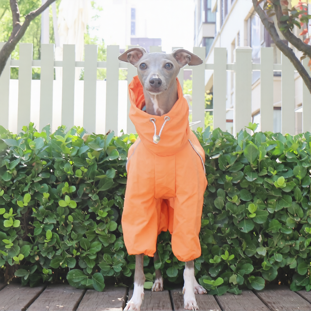 Whippet Italian Greyhound Dog Waterproof Jacket Lightweight Breathable Outdoor Raincoat