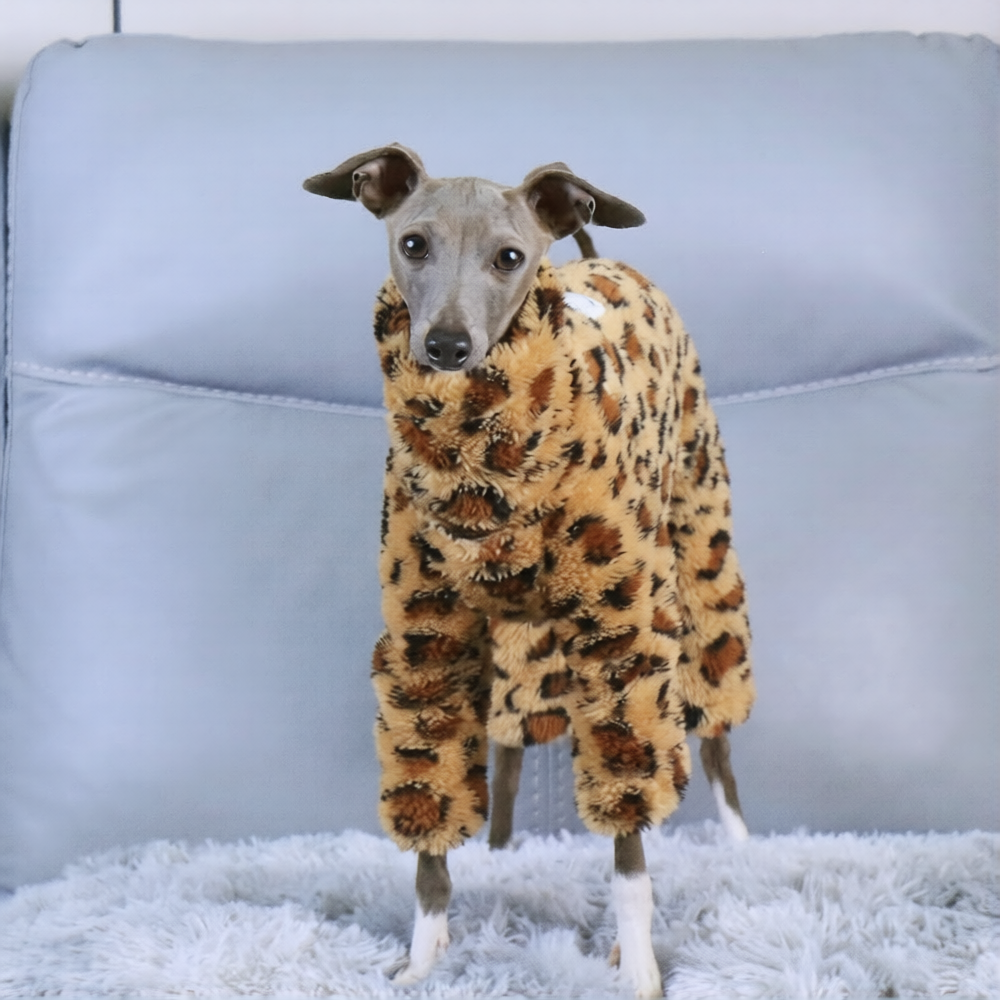 Whippet & Italian Greyhound Winter Pajamas – Warm Fleece Dog Bodysuit