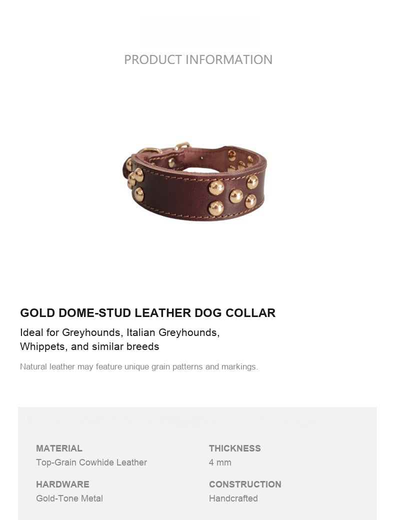 Whippet & Italian Greyhound Genuine Leather Studded Collar – Wide Sighthound Dog Collar