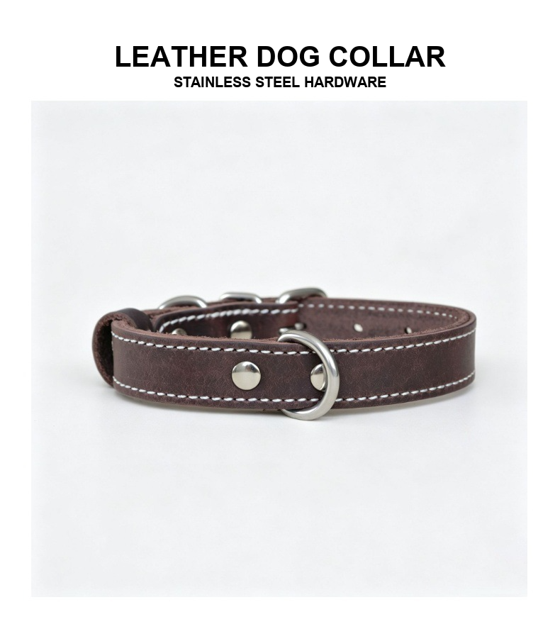 Leather Dog Collar with Stainless Steel Hardware – Classic Adjustable Pet Collar