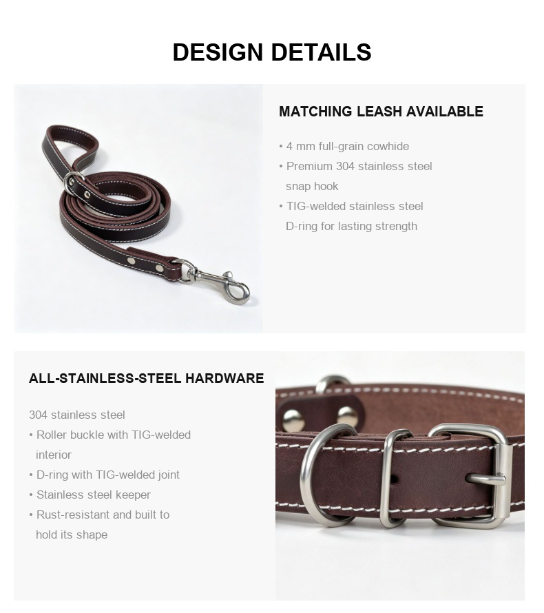 Leather Dog Collar with Stainless Steel Hardware – Classic Adjustable Pet Collar