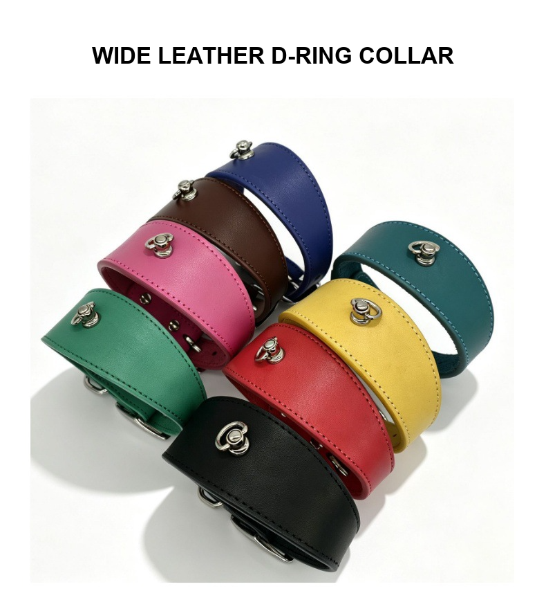 Whippet & Italian Greyhound Wide Leather Collar – Top-Grain Cowhide Sighthound Collar