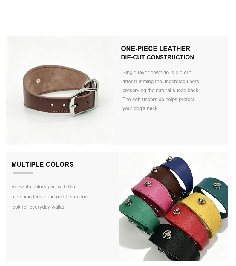 Whippet & Italian Greyhound Wide Leather Collar – Top-Grain Cowhide Sighthound Collar