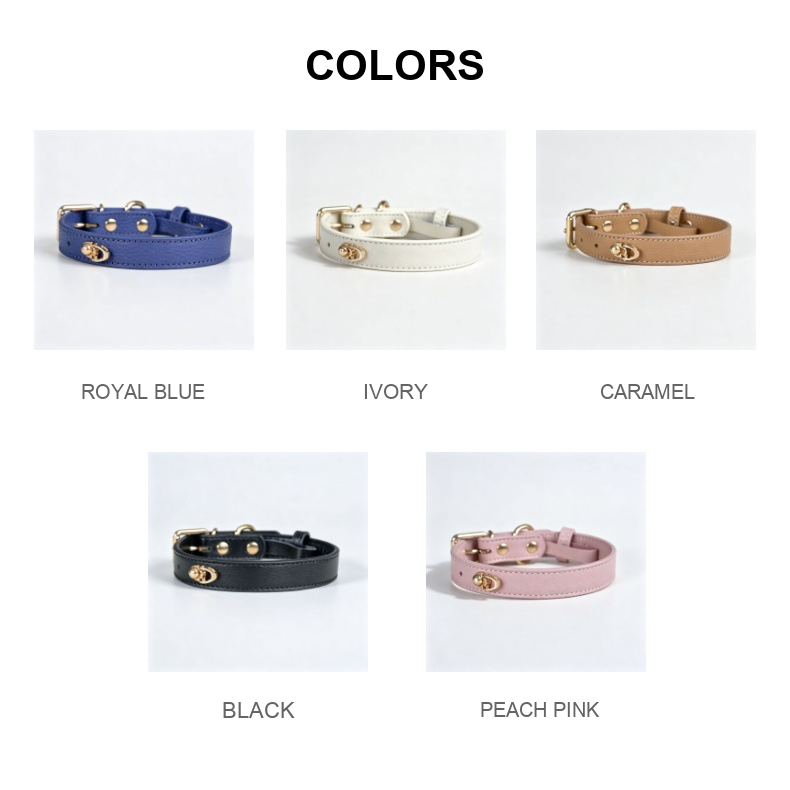 Genuine Leather Dog Collar – Lychee-Grain Adjustable Collar for Small & Medium Dogs