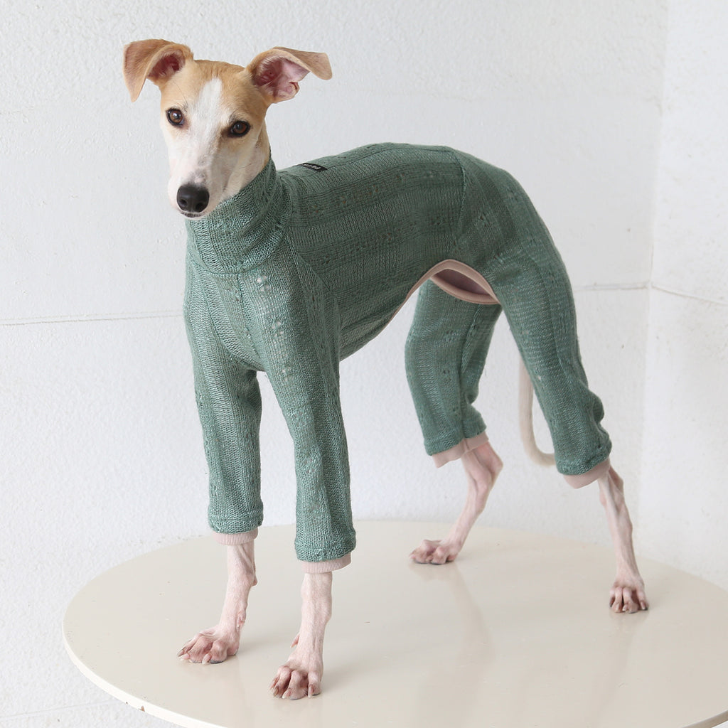 Vintage Knit Four-Leg Outfit for Whippets & Italian Greyhounds