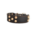 Whippet & Italian Greyhound Genuine Leather Studded Collar – Wide Sighthound Dog Collar