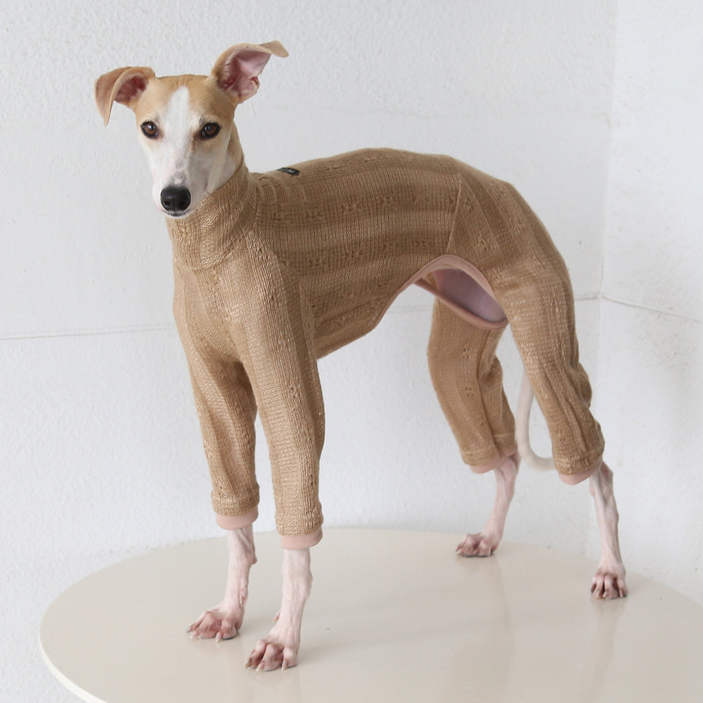 Vintage Knit Four-Leg Outfit for Whippets & Italian Greyhounds