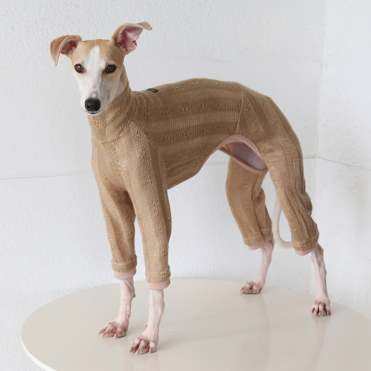 Vintage Knit Four-Leg Outfit for Whippets & Italian Greyhounds