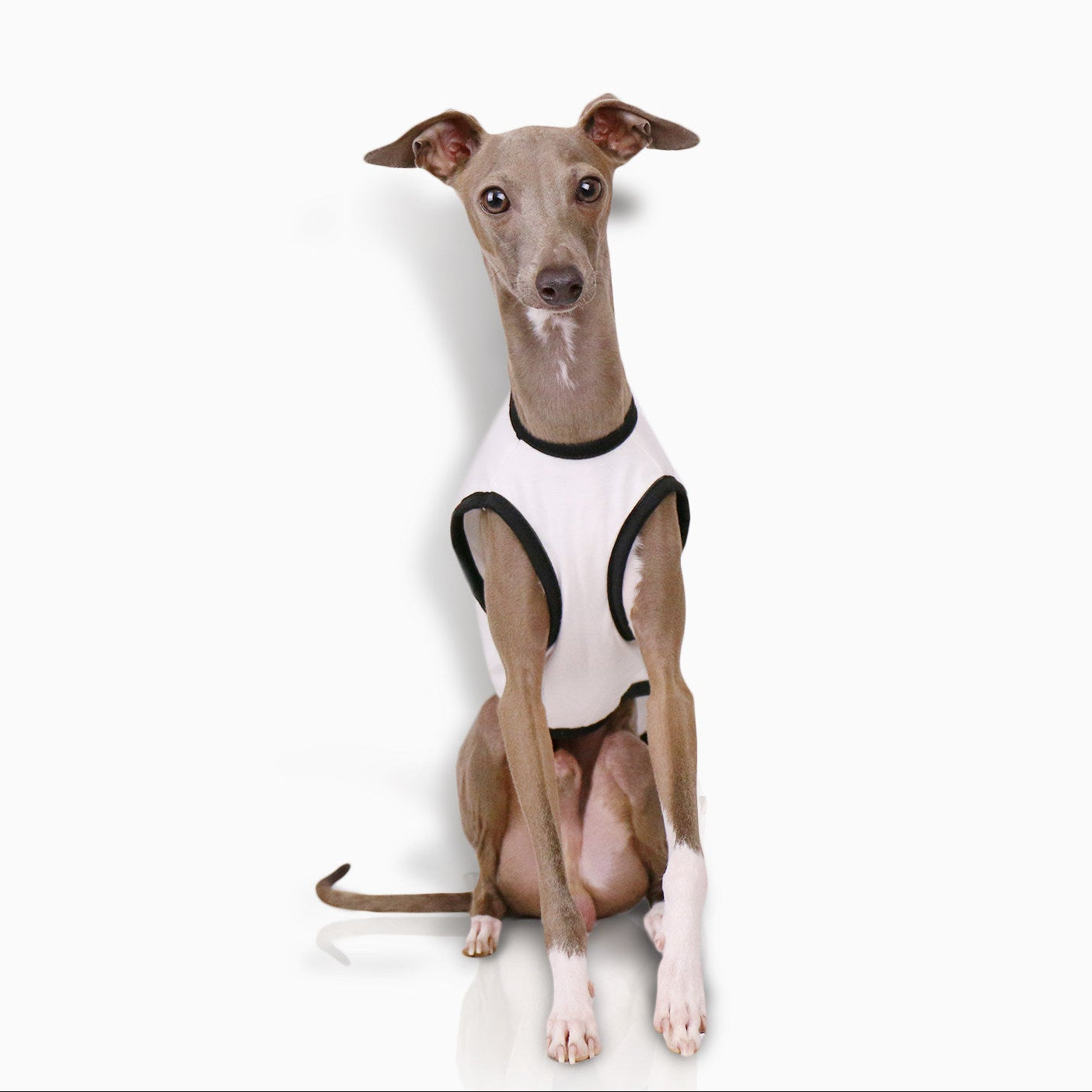 Whippet & Italian Greyhound Jacquard Fleece Pajamas – Warm Four-Leg Dog Jumpsuit