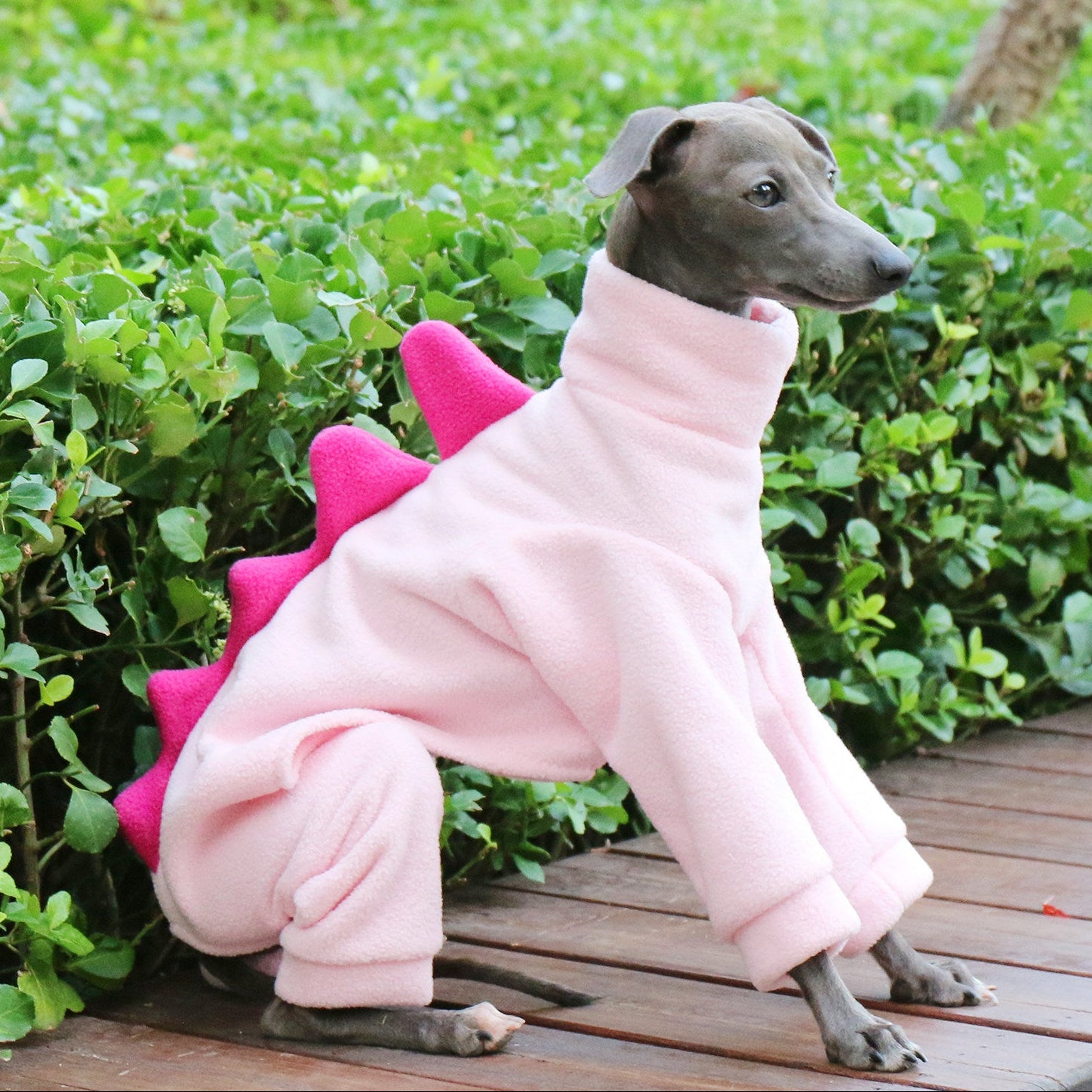 Whippet & Italian Greyhound Fleece Dog Jumpsuit – Warm Dinosaur Four-Leg Pajamas