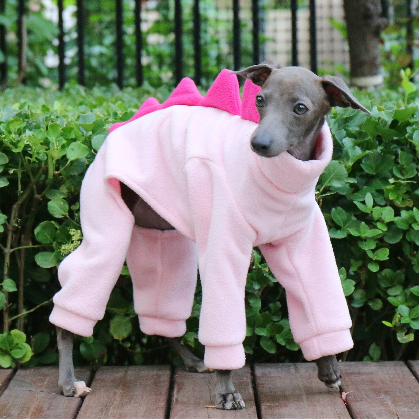 Whippet & Italian Greyhound Fleece Dog Jumpsuit – Warm Dinosaur Four-Leg Pajamas