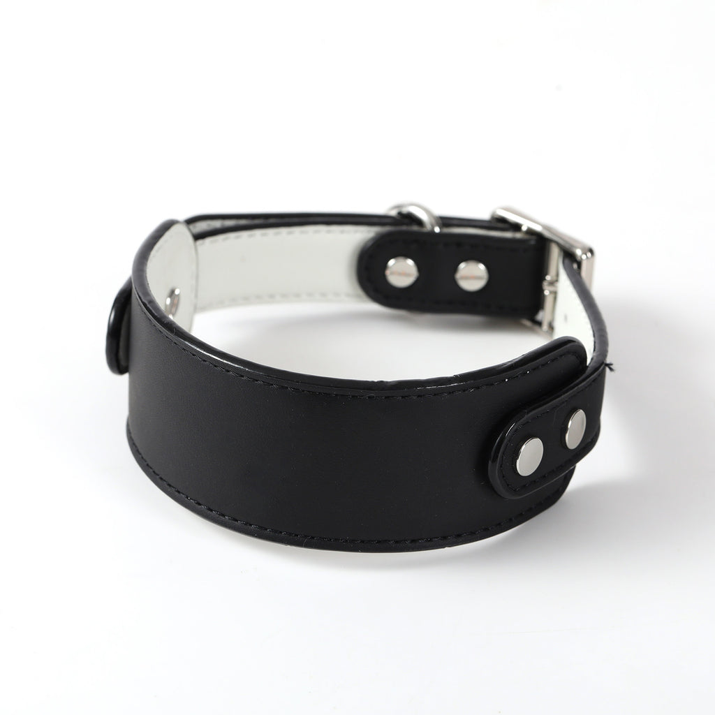 Whippet Italian Greyhound Adjustable Dog Collar Wide Nylon Collar with Metal Buckle
