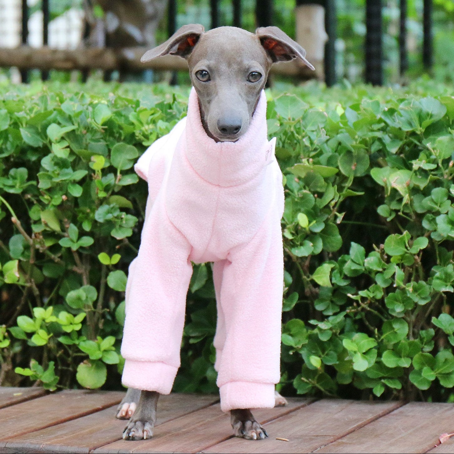 Whippet & Italian Greyhound Fleece Dog Jumpsuit – Warm Dinosaur Four-Leg Pajamas