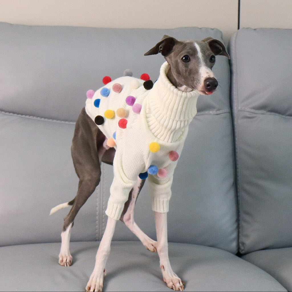 Whippet & Italian Greyhound Turtleneck Knit Dog Sweater – Warm Sighthound Clothing