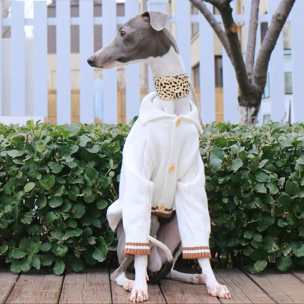 Whippet Italian Greyhound Turtleneck Dog Sweater Soft Warm Winter Knit Clothes
