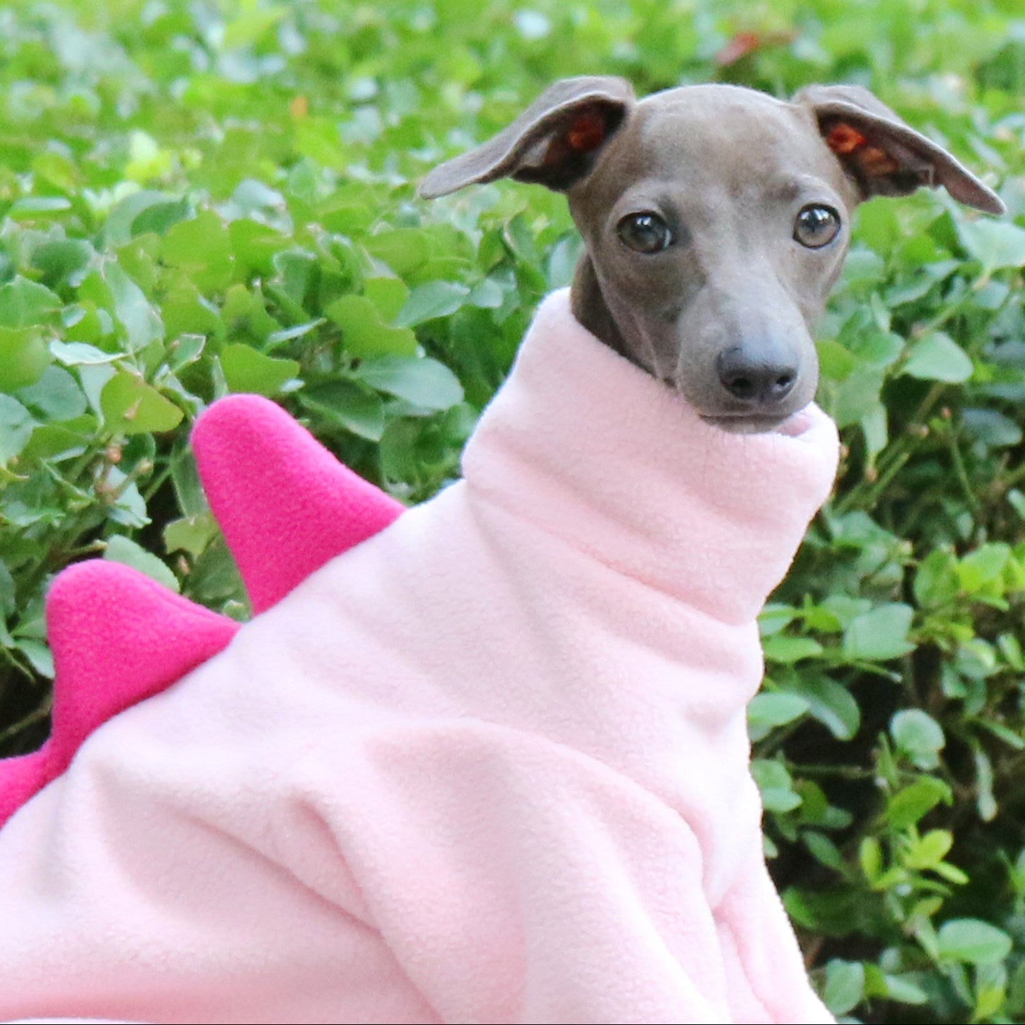 Whippet & Italian Greyhound Fleece Dog Jumpsuit – Warm Dinosaur Four-Leg Pajamas