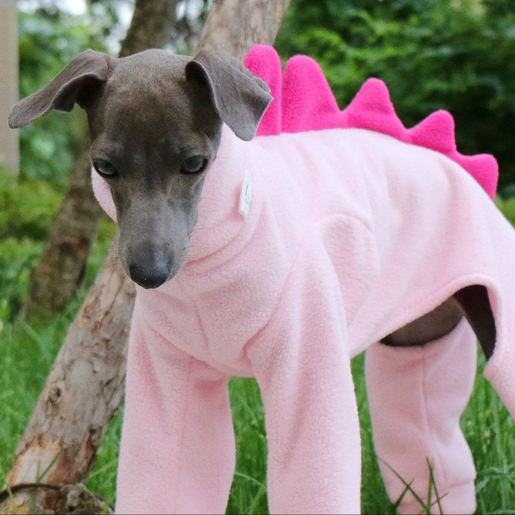 Whippet & Italian Greyhound Fleece Dog Jumpsuit – Warm Dinosaur Four-Leg Pajamas