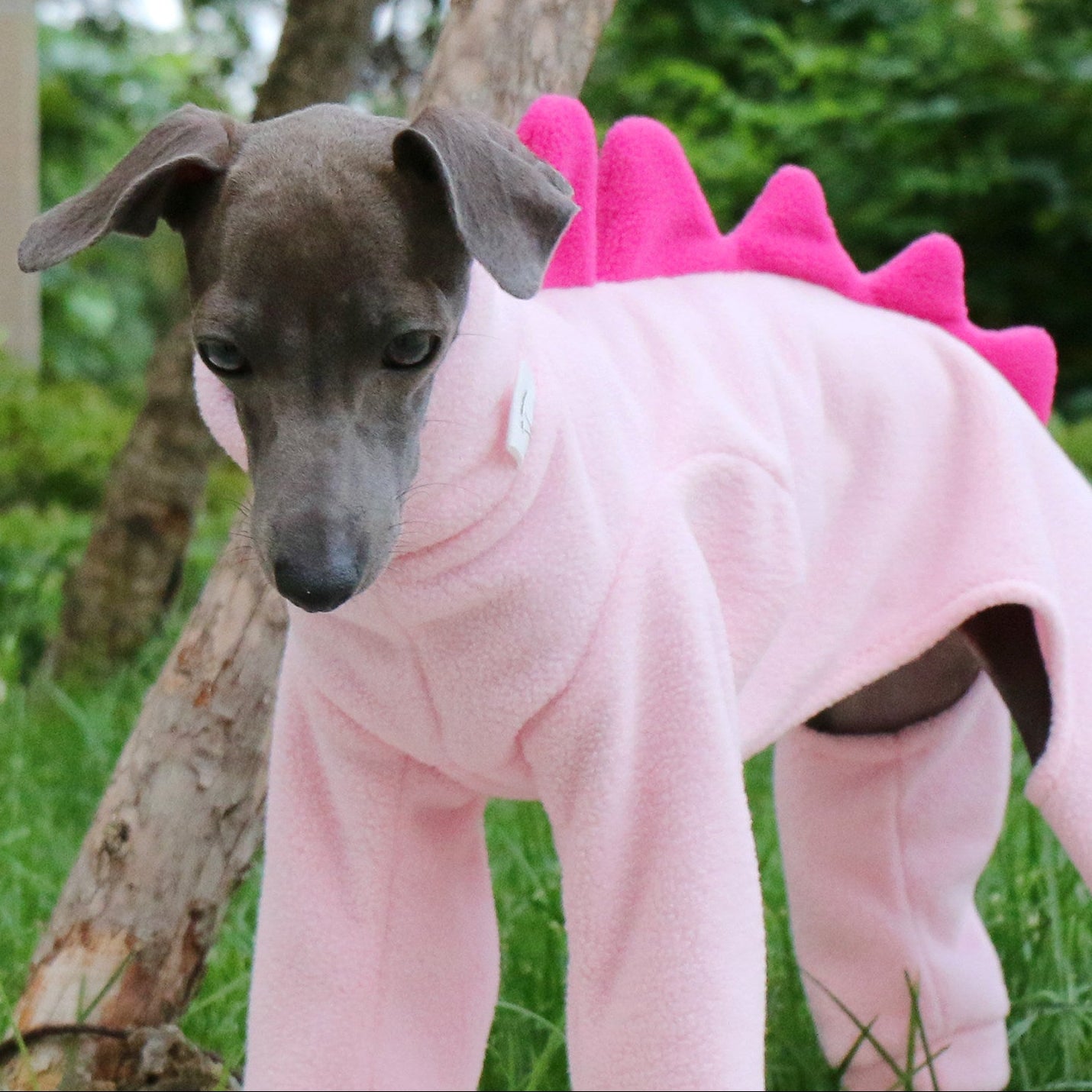 Whippet & Italian Greyhound Fleece Dog Jumpsuit – Warm Dinosaur Four-Leg Pajamas