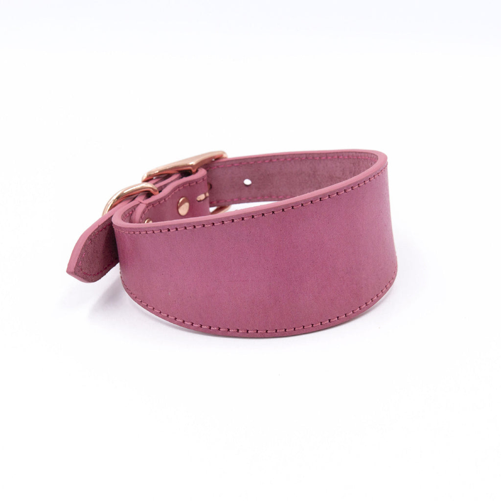Adjustable Dog Collar for Whippet Italian Greyhound Soft Durable Pet Collar Minimalist Style