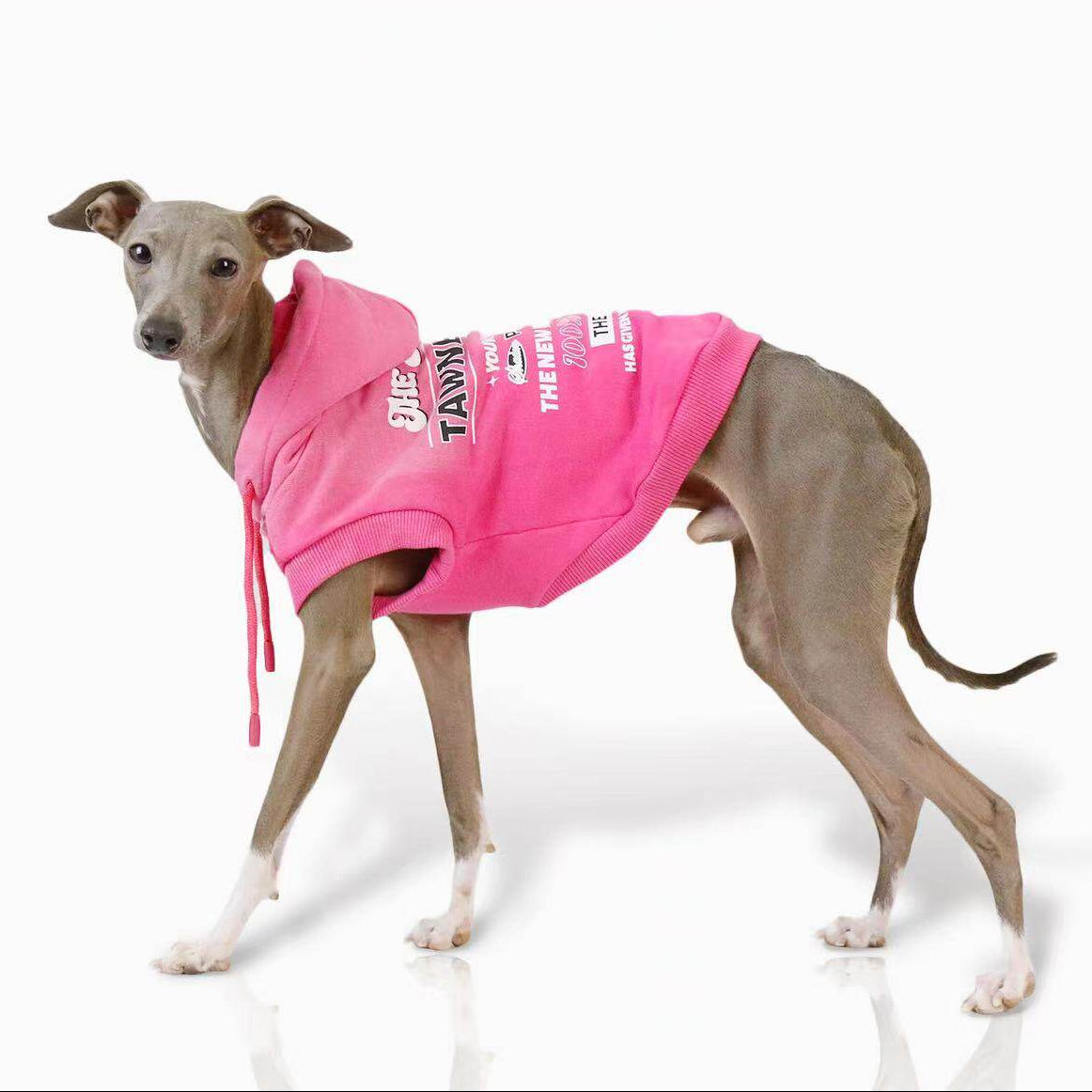 Whippet Italian Greyhound Dog Vest Lightweight Breathable Sleeveless Pet Shirt Summer Outfit