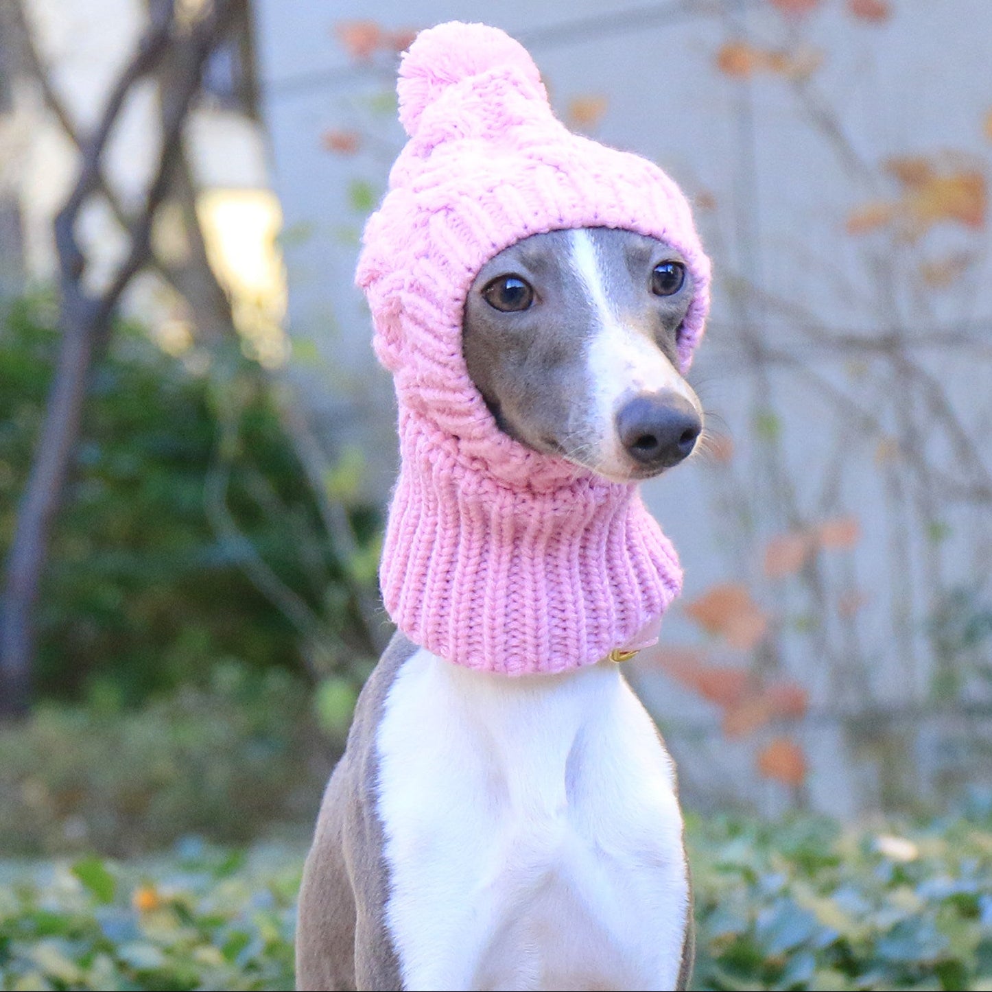 Whippet Italian Greyhound Knitted Dog Hat Winter Warm Soft Pet Beanie for Small Dogs