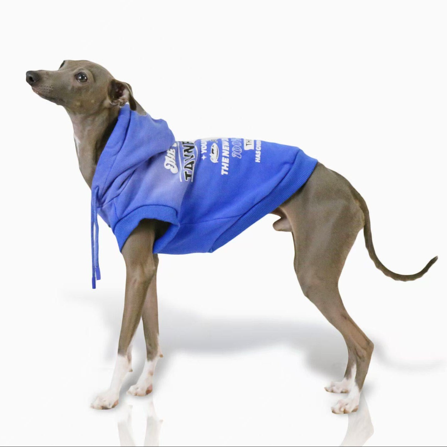 Whippet Italian Greyhound Dog Vest Lightweight Breathable Sleeveless Pet Shirt Summer Outfit