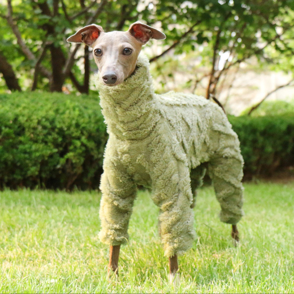Whippet & Italian Greyhound Fleece Jumpsuit – Warm Winter Dog Pajamas
