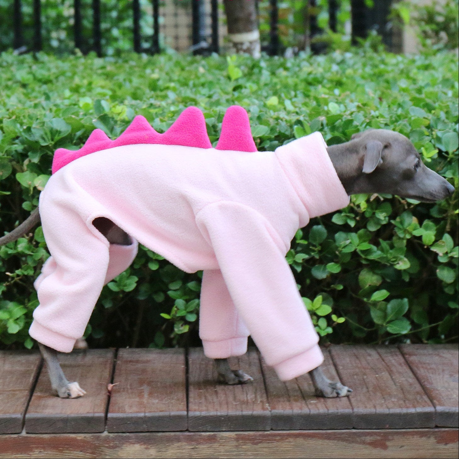 Whippet & Italian Greyhound Fleece Dog Jumpsuit – Warm Dinosaur Four-Leg Pajamas