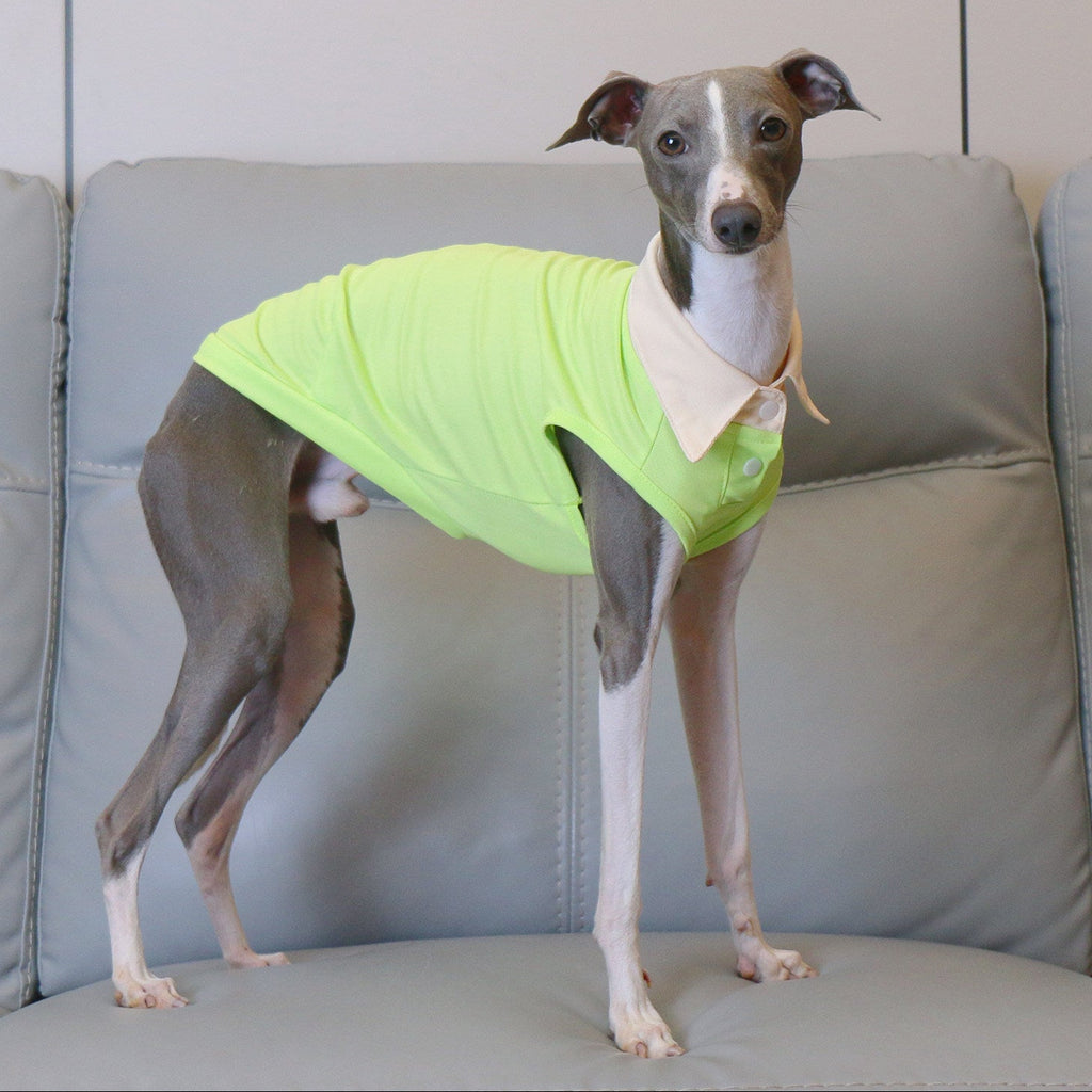 Whippet Italian Greyhound Dog Polo Shirt Lightweight Breathable Summer Vest Bright Color Pet Outfit