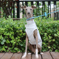 Cooling Dog Vest for Whippet Italian Greyhound Lightweight Breathable Summer Sun Protection Shirt