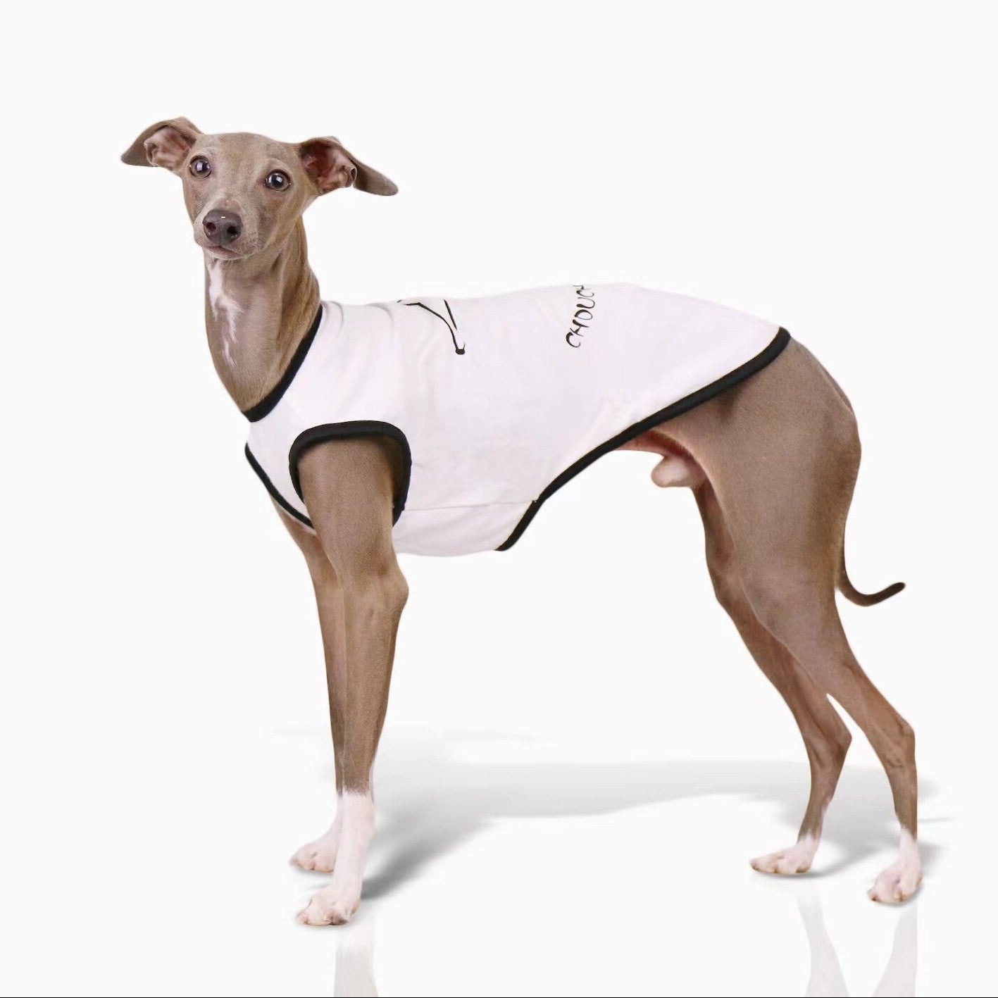 Whippet & Italian Greyhound Jacquard Fleece Pajamas – Warm Four-Leg Dog Jumpsuit