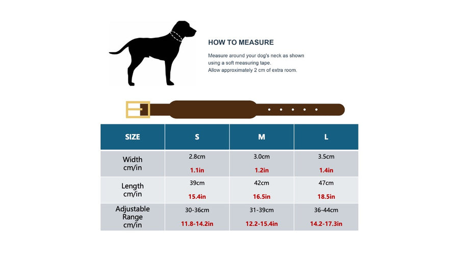 Dog Size Guide